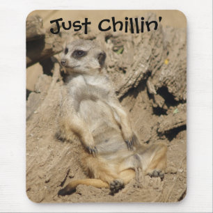 Tapis De Souris Juste Chillin' Meerkat Photo Pad