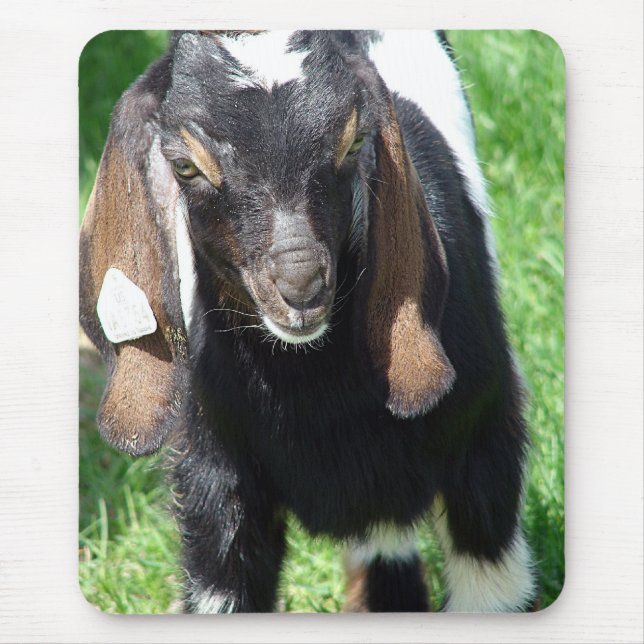 Tapis De Souris Kalvin (Devant)