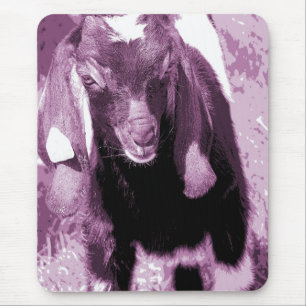 Tapis De Souris Kalvin 2