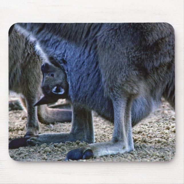Tapis De Souris Kangourou bébé dans la poche de la mère - Australi (Devant)
