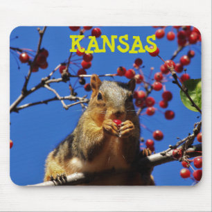 Tapis De Souris Kansas Fox Tail Squirrel Mouse PAD