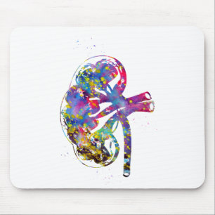 Tapis De Souris Kidney section
