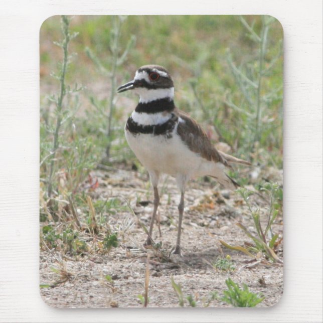Tapis De Souris Killdeer Mousepad (Devant)
