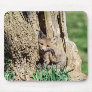 Tapis De Souris Kit Fox dans la vallée de l'Hudson