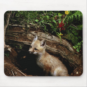 Tapis De Souris Kit Red Fox