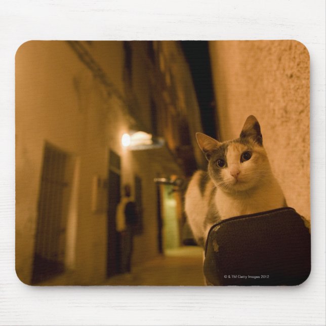 Tapis De Souris Kitten à la tombée de la nuit, Maroc (Devant)