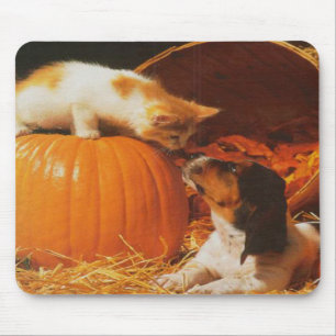 Tapis De Souris Kitten, Citrouille et Chiot Mousepad