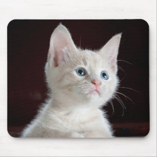 Tapis De Souris Kitten Cutie