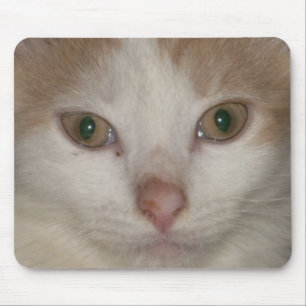 Tapis De Souris kitten face 1 mousepad