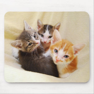 Tapis De Souris Kitten Trio Mousepad