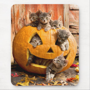 Tapis De Souris Kittens in Jack-o-Lantern