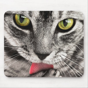 Tapis De Souris Kitty Lick