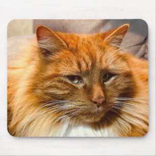Tapis De Souris Kitty Nemo Mousepad