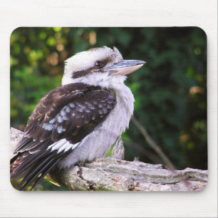 Tapis De Souris Kookaburra Mousepad