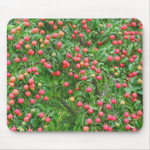 Tapis De Souris Kousa Dogwood Mousepad