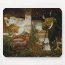 La Belle au Bois Dormant (le prince charmant et sa