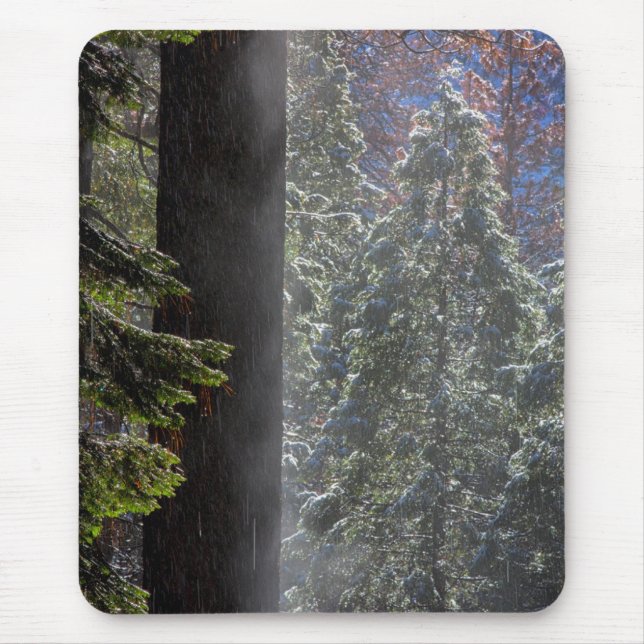 Tapis De Souris La brume neigeuse dans la forêt (Devant)