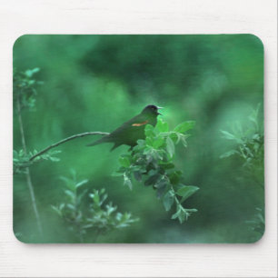 Tapis De Souris La chanson