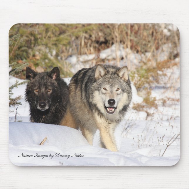 Tapis De Souris La chasse (Devant)