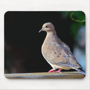 Tapis De Souris La colombe en deuil