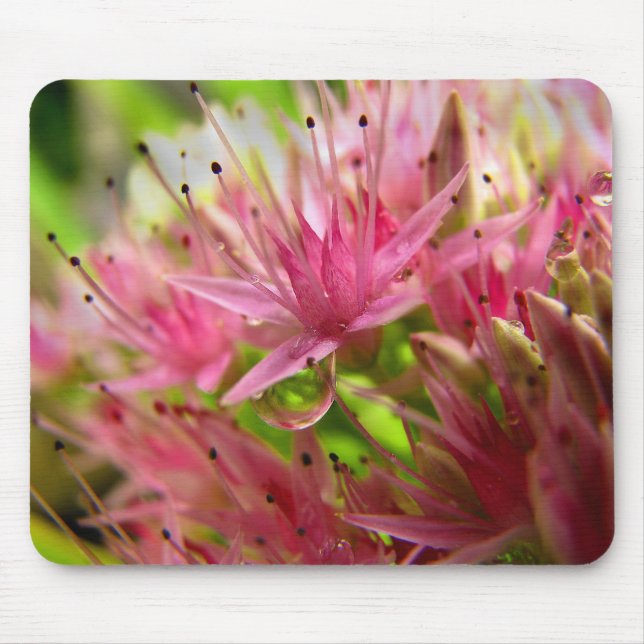 Tapis De Souris La couronne féerique (Devant)