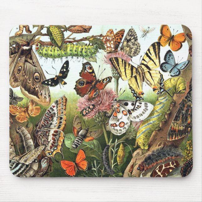Tapis De Souris La faune de Caterpillar de mite de papillon (Devant)