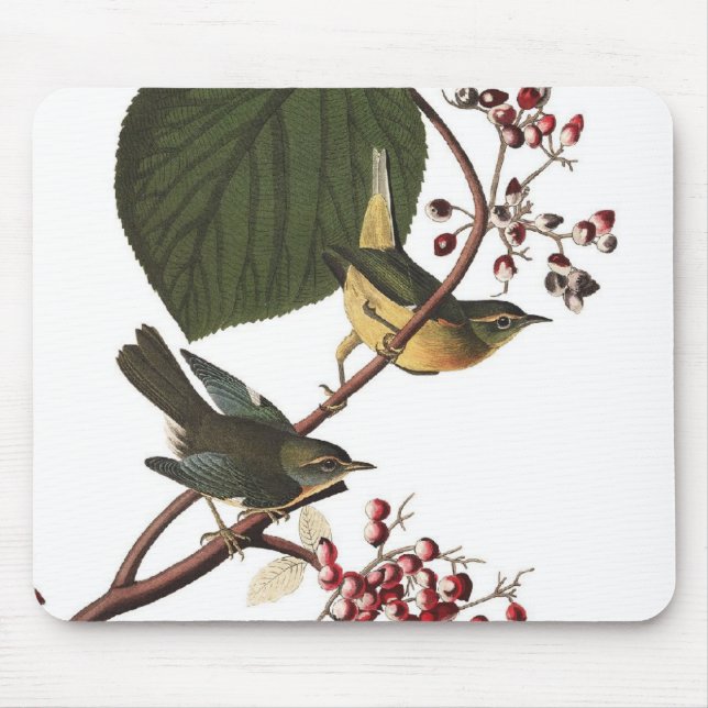 Tapis De Souris La fauvette supplémentaire d'Audubon (Devant)