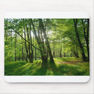 Tapis De Souris La forêt au printemps