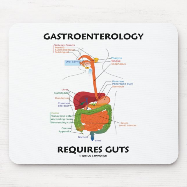 Tapis De Souris La gastroentérologie exige des entrailles (Devant)