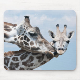 Tapis De Souris La girafe embrasse son veau