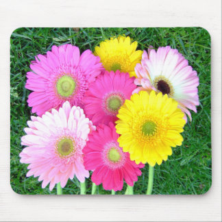 Tapis De Souris La marguerite de Gerbera colore Mousepad
