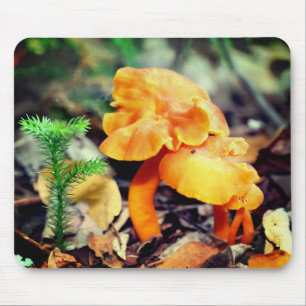 Tapis De Souris La nature des champignons orange