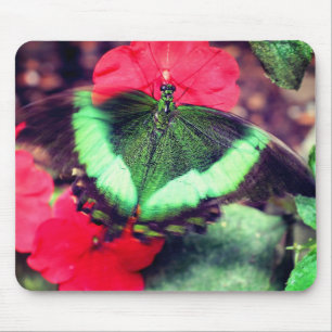 Tapis De Souris La nature des papillons verts