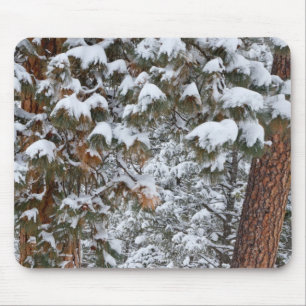 Tapis De Souris La neige remplit les branches des pins ponderosa