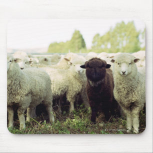 Tapis De Souris La Nouvelle Zélande