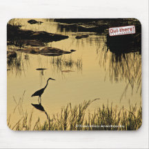 Là ! Photographie
