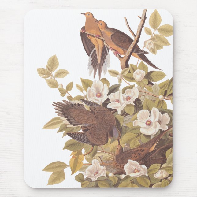 Tapis De Souris La tourterelle de Caroline d'Audubon (Devant)