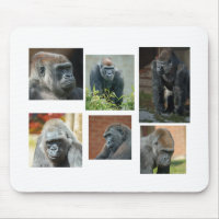La troupe de Gorilla