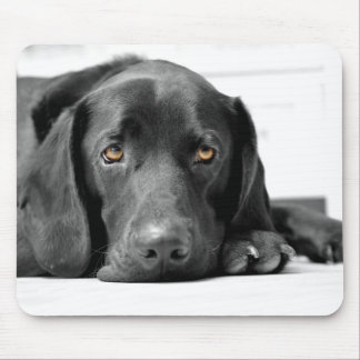 Tapis De Souris Labrador noir