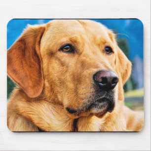 Tapis De Souris Labrador retriever d'or