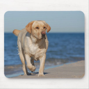 Tapis De Souris Labrador retriever jaune sur la plage