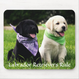 Tapis De Souris Labrador Retrivers Rule Puppies Mousepad