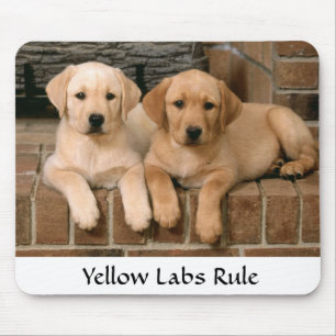 Tapis De Souris Labrador Retrivers Rule Puppies Mousepad