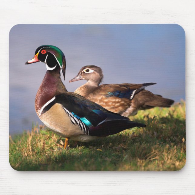 Tapis De Souris Lakeside (Devant)