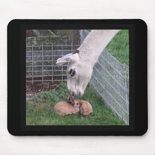Tapis De Souris Lama Llove et lapin (Devant)