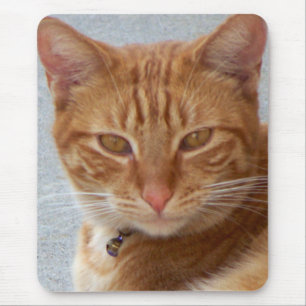 Tapis De Souris L'Amant du chat_