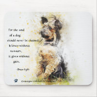 L'âme d'un chien - Yorkie debout