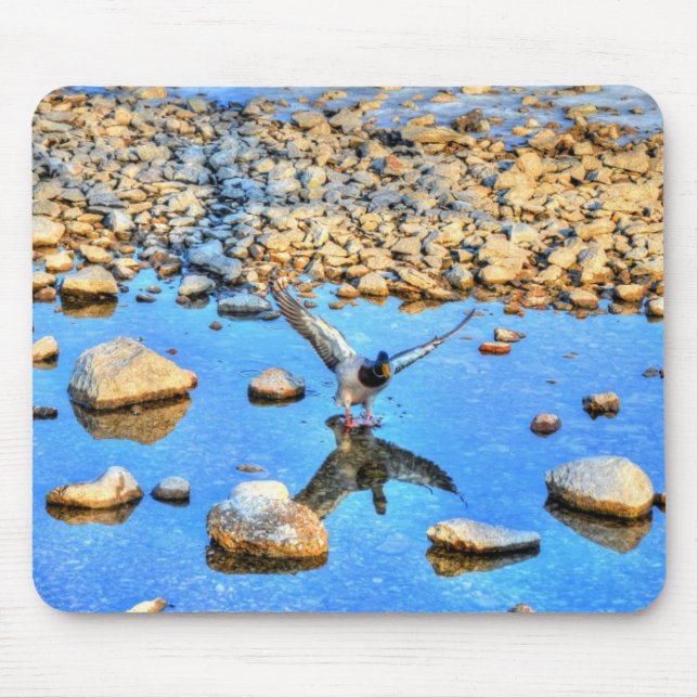 Tapis De Souris Landing Mallard Drake Birdlover Photo de faune (Devant)