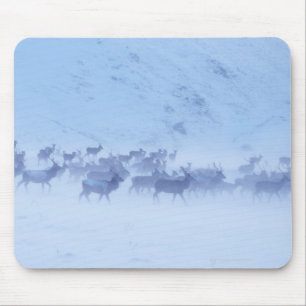 Tapis De Souris L'Angleterre