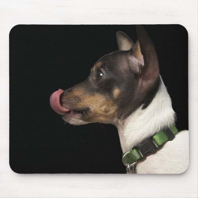 Tapis De Souris Langue du Terrier noir et blanc (Devant)